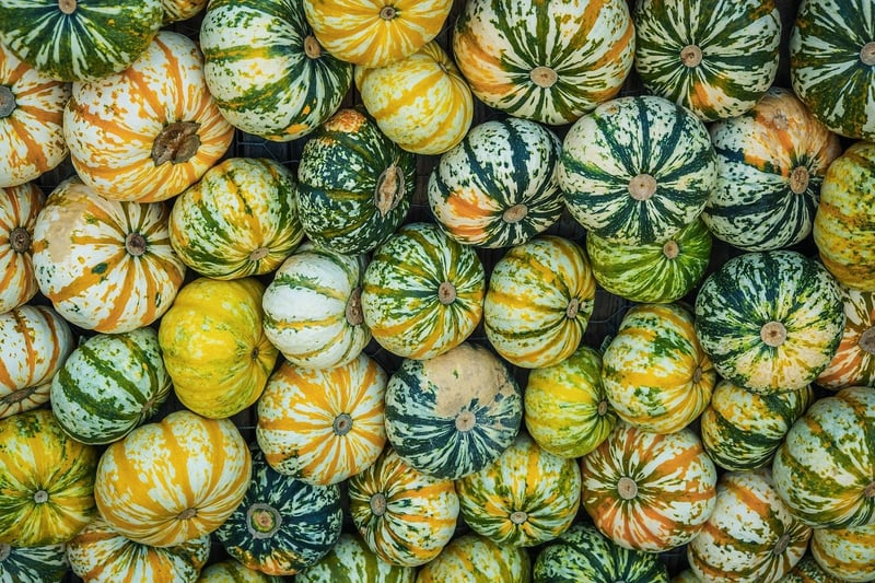 Seasonal Displays